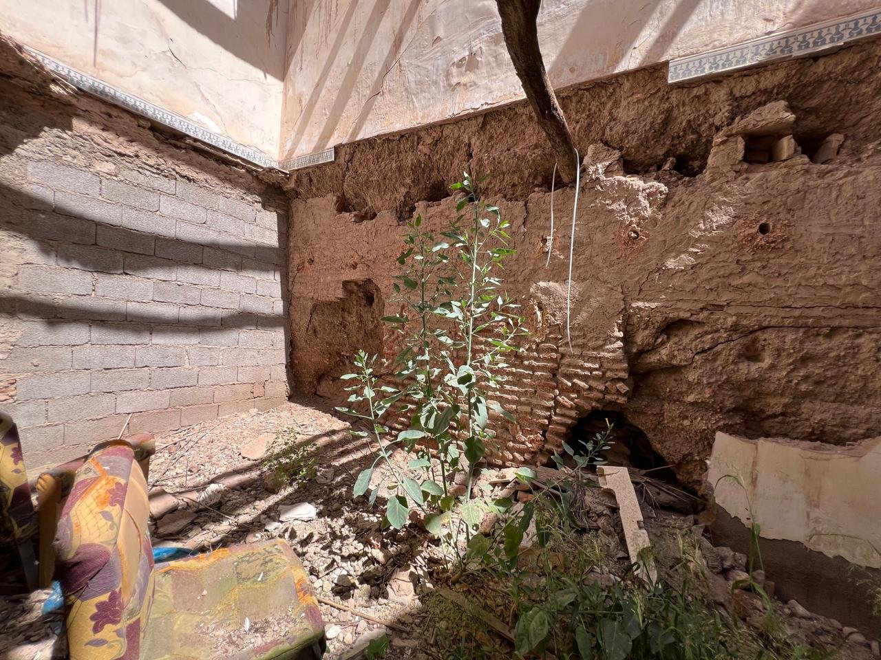 Ruine à vendre